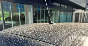 Лекари бият аларма. Нова грозна напаст се носи към България