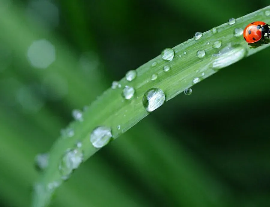 Основната лихва скочи с 15 пункта