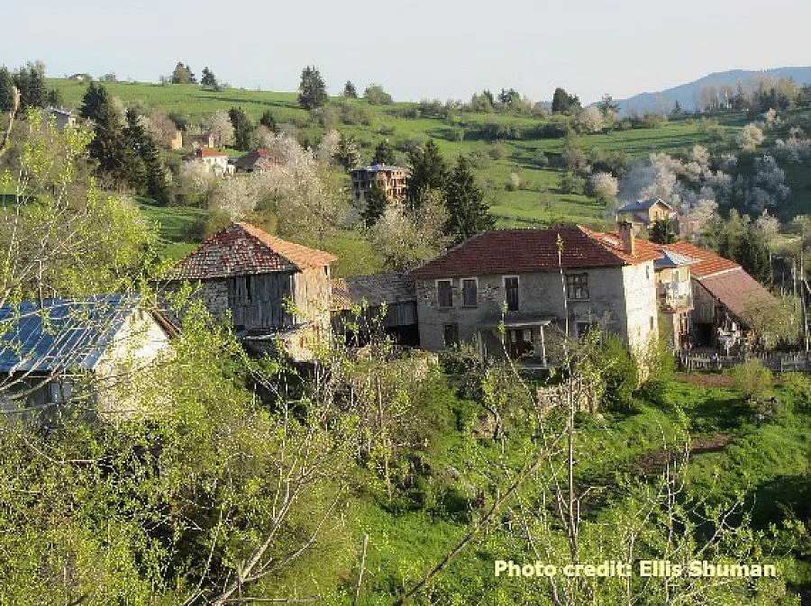 ПРЕГЛЕД НА РЕГИОНАЛНИЯ ПЕЧАТ