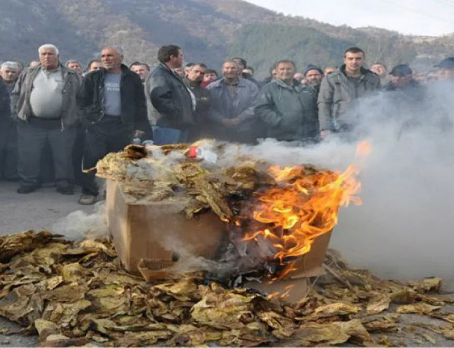 ТЕСТВАТ ЗА АЛЦХАЙМЕР КРАЙ "АРИАНА" ДНЕС