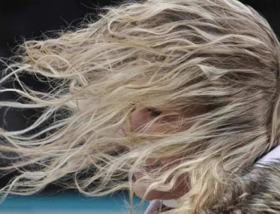 Италия праща 40 наблюдатели в Грузия