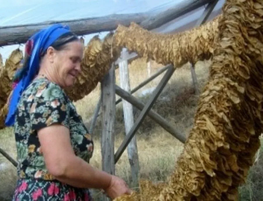 Бундеслигата се завръща в българския ефир