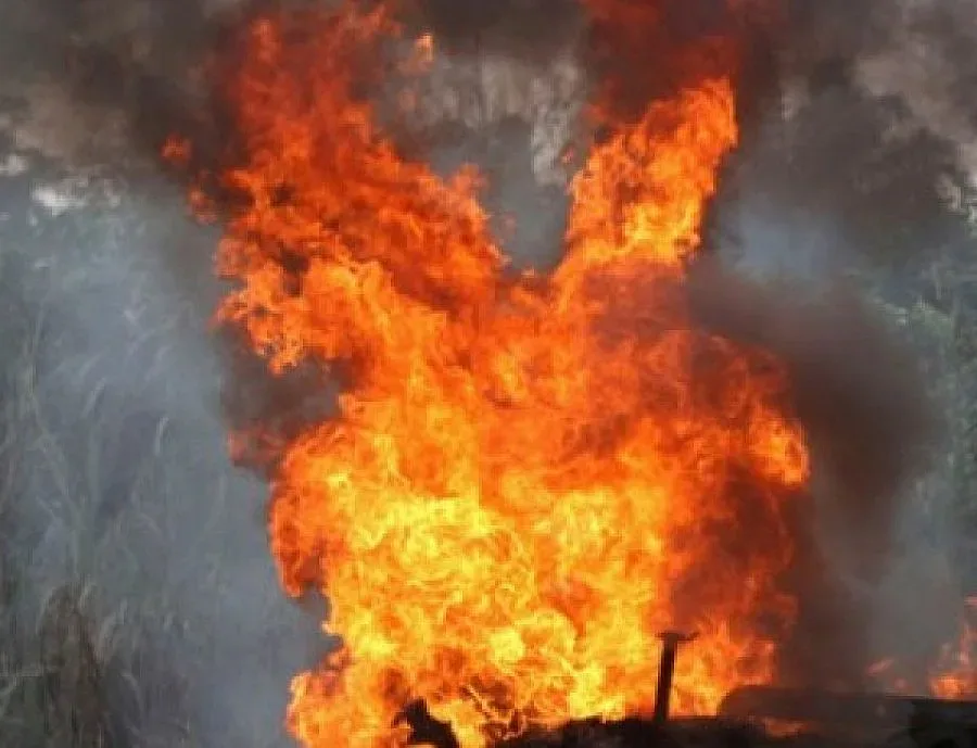 ПРЕГЛЕД НА РЕГИОНАЛНИЯ ПЕЧАТ