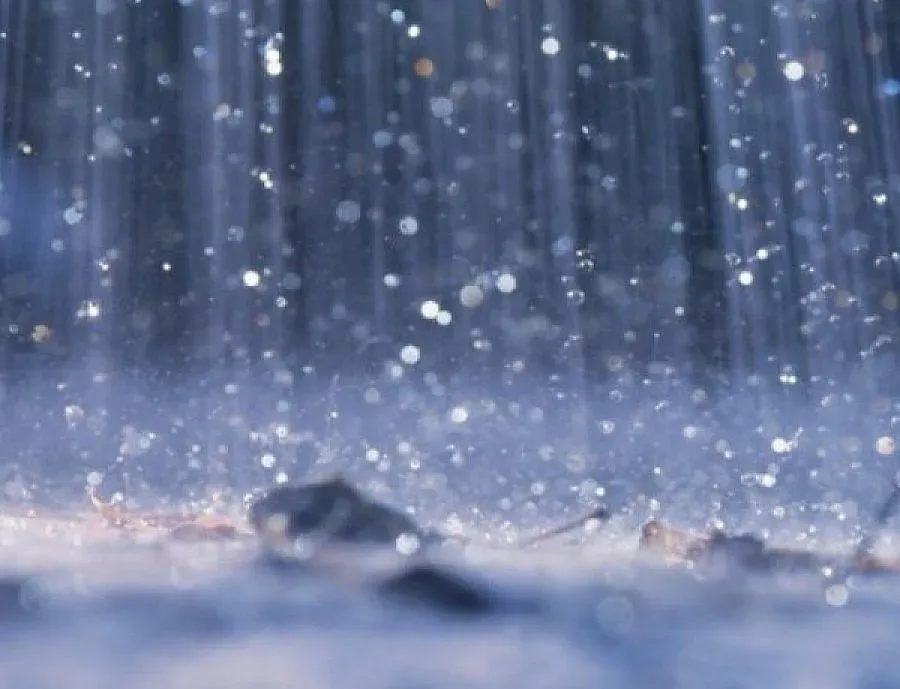 Бирници погват фирмии за ДДС