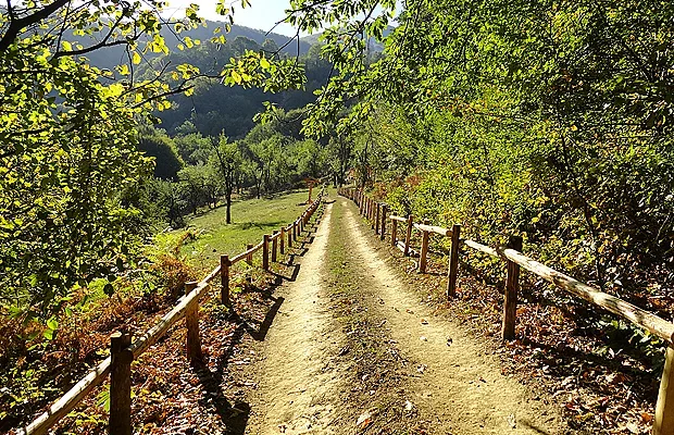 Нова програма на спортното министерство! Младежи преоткриват екопътеките