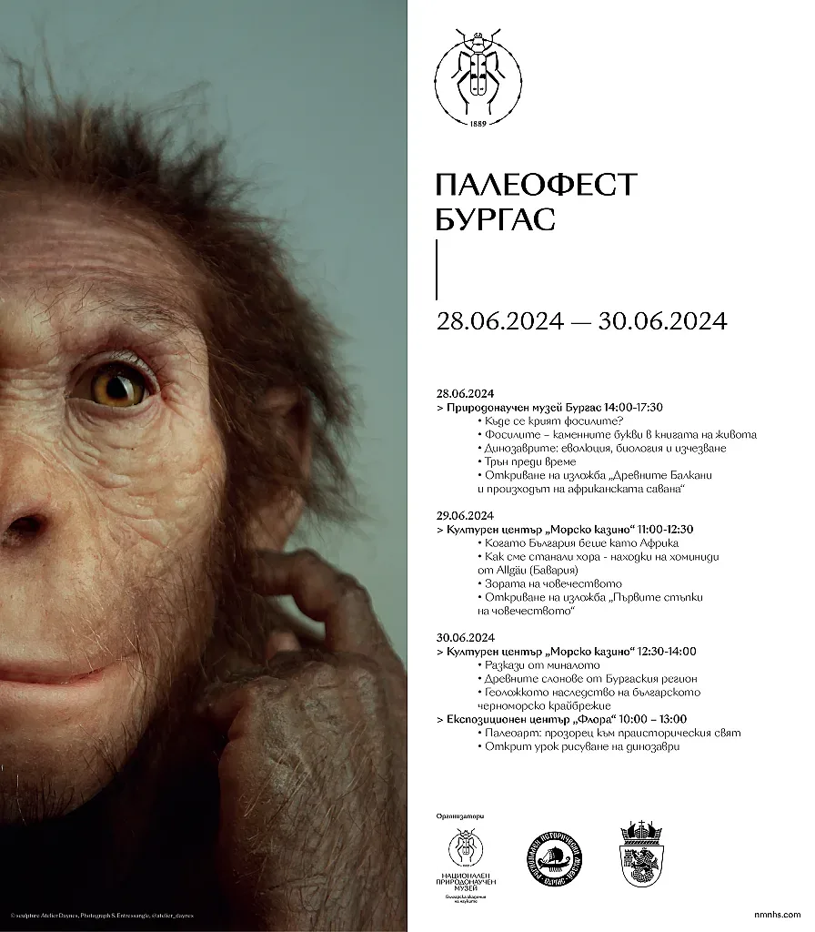 Показват в Бургас съвършено копие на скелета на австралопитека Луси и други праисторически чудеса