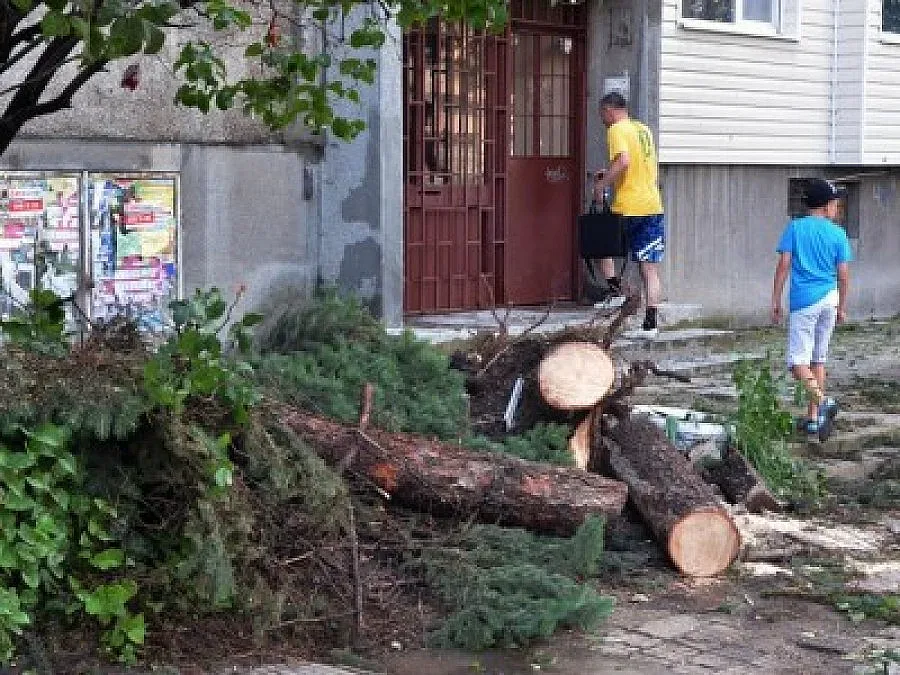 ТАТУ В ЖЪЛТО И СОЛАРИУМ НАЙ-ОПАСНИ ЗА КОЖАТА