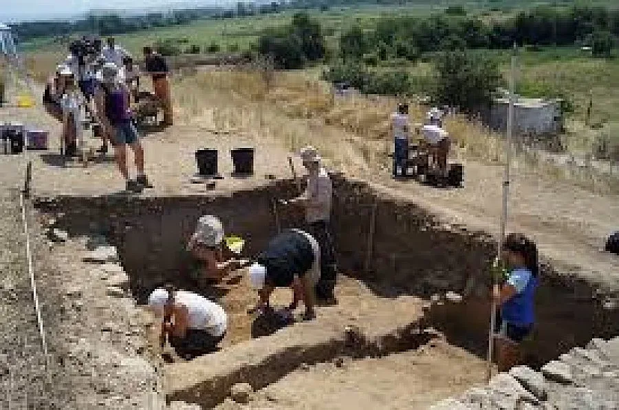 Дърво от каменната ера приватизирано в Перник