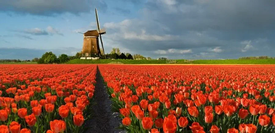 Пенсионер се хвърли под влака