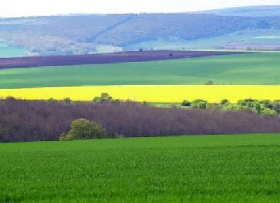 Бербатов ще награди първенеца на "Данониада 2008"