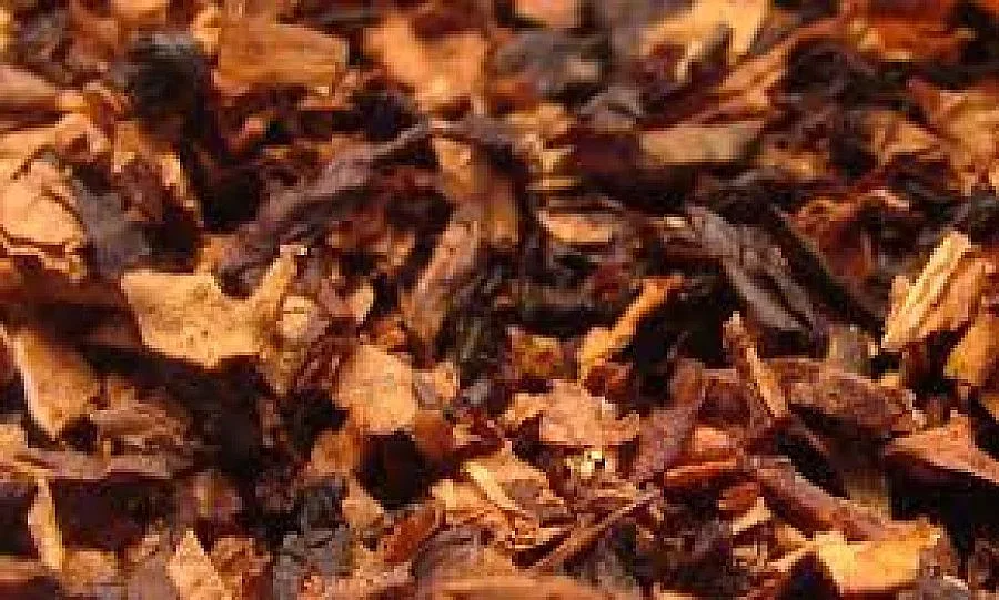 Стачка на жепейци задръсти Белгия