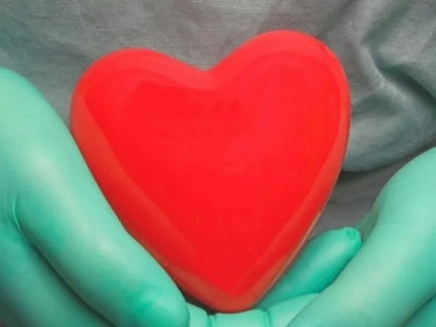 Медведев обяви кръстоносен поход на корупцията