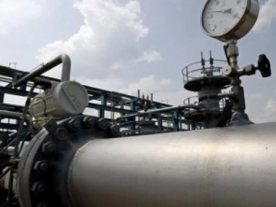 Каракачанов: Политическа диета за ДПС