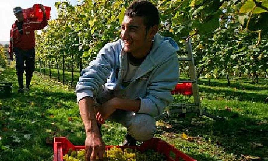 Продължават преговорите за сръбско правителство