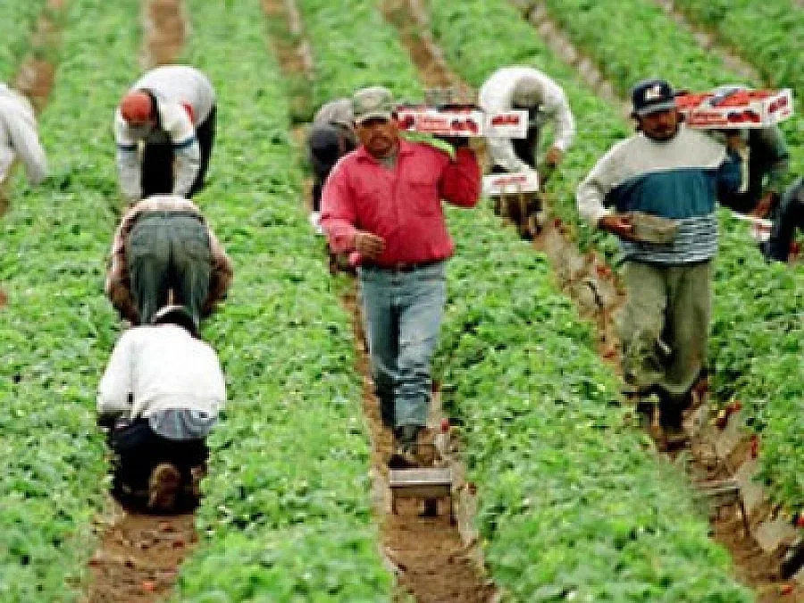 Масови проверки за стоки-менте на плажа