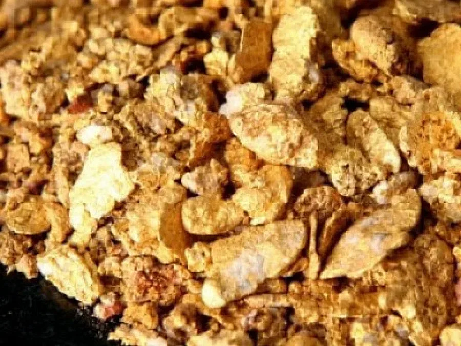 Варна събира натовски лекари под пагон