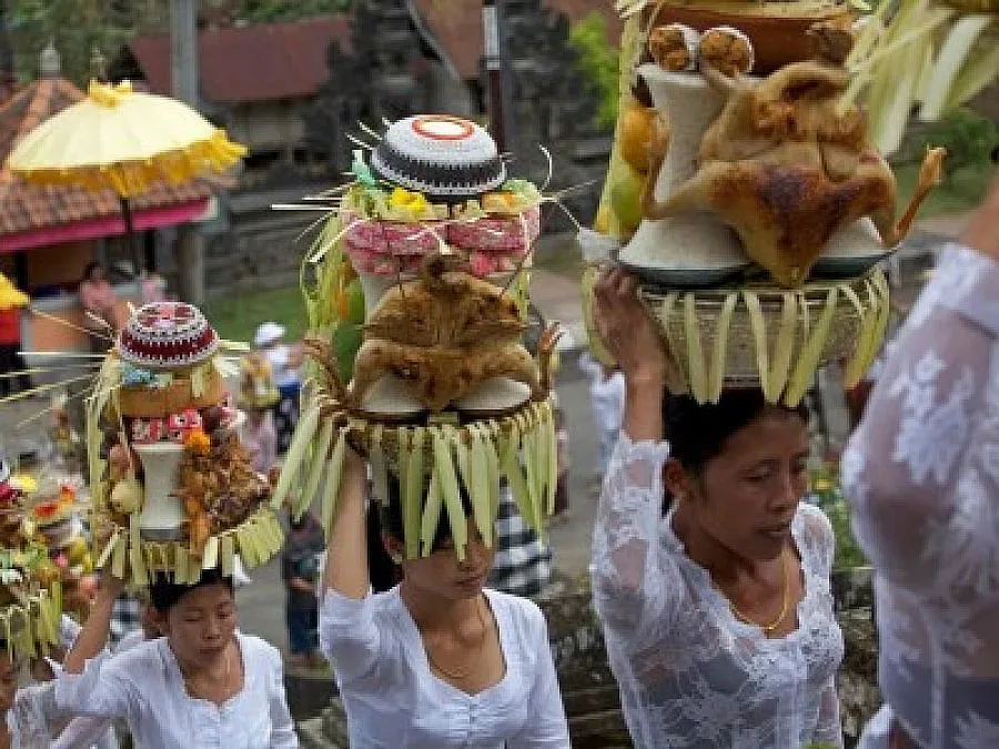 Цените на земеделските земи растат