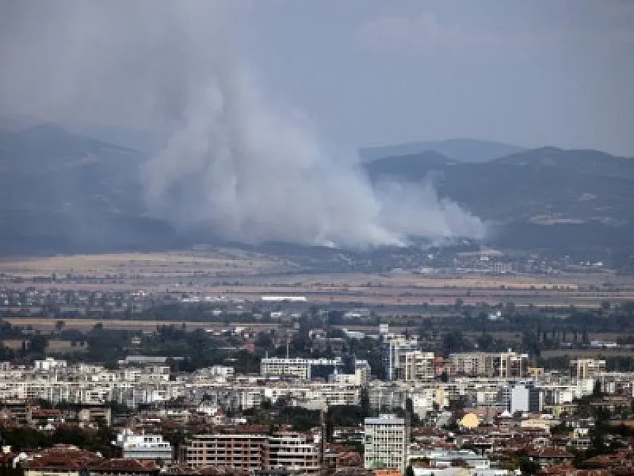 Индустрията трябва да си сътрудничи повече за справяне с нарастващата вълна от нелицензирани стоки в Европа