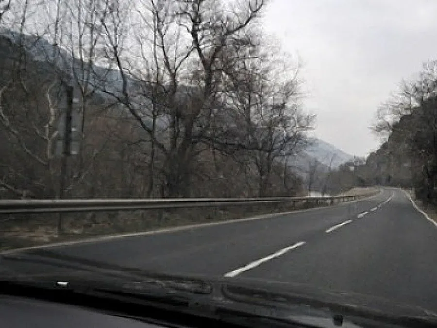 Форум за българите по света обсъжда нова държавна политика