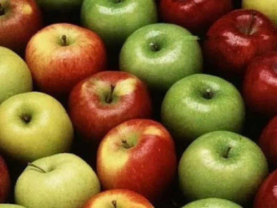 Язовирът при Лесковец почти източен