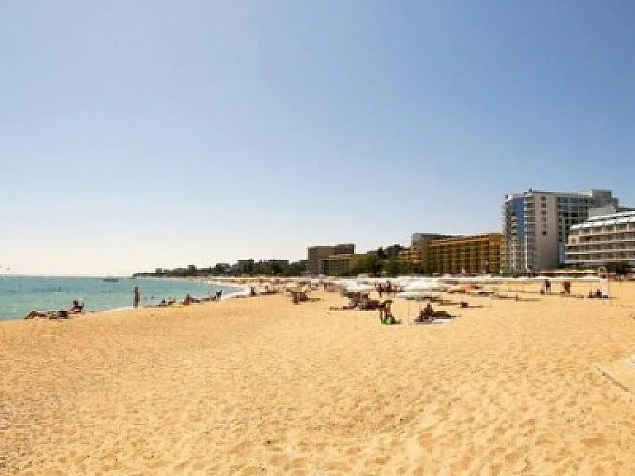 Станишев: Няма политическа протекция на митниците