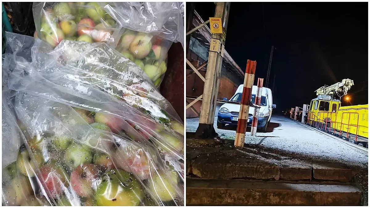 Стряскащ разказ за крадците на ябълки. Наказанията