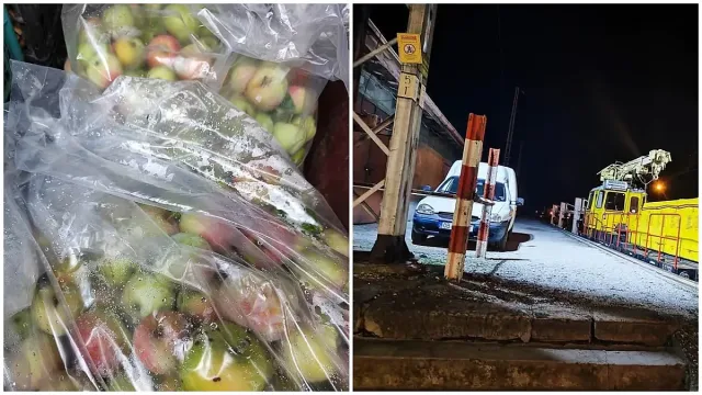 Стряскащ разказ за крадците на ябълки. Наказанията