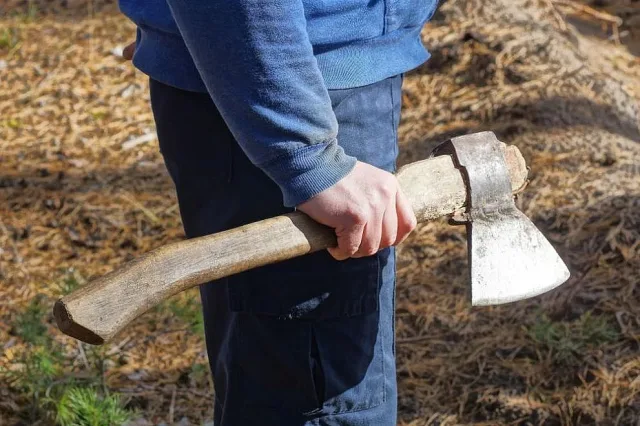 Кошмар във Варненско. Мъж нападна полицай с брадва