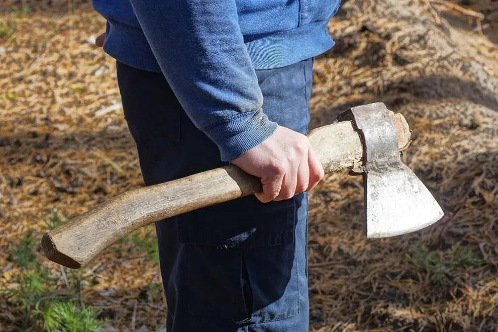 Кошмар във Варненско. Мъж нападна полицай с брадва