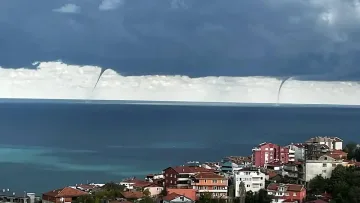 Тази снимка от морето смрази народа!