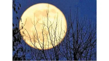 Лунен календар. Дните през ноември,  които носят пари и късмет