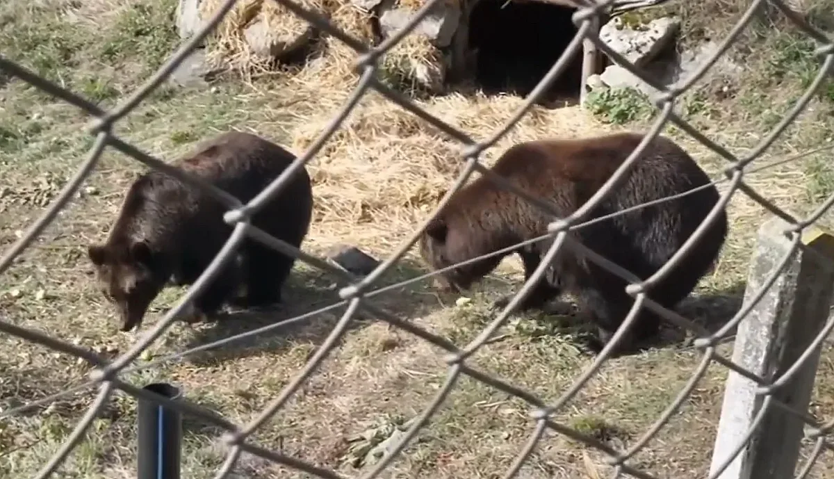 Белица посрещна нови гости от Украйна