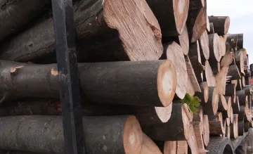 Мирише на зима и на скъпи дърва. 150–170 лева за кубик