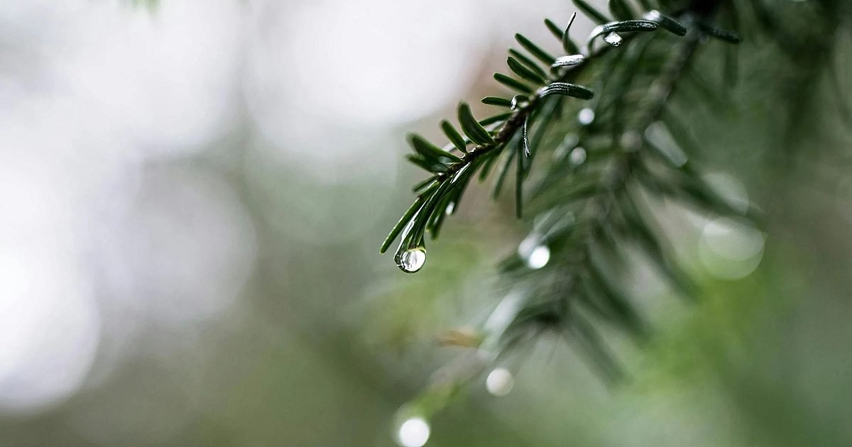 Обратът на времето е тук, а вече се задава и нова изненада