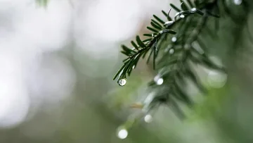 Времето се разваля напълно в големи части от страната. Вижте къде