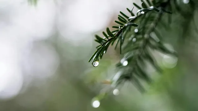 Времето се разваля напълно в големи части от страната. Вижте къде