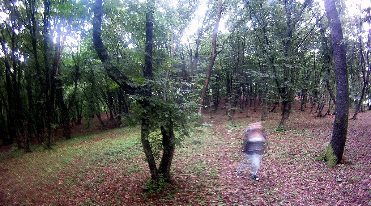 Няма да повярвате! В съседна на нас държава има "Бермудски триъгълник"