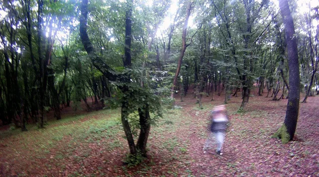 Няма да повярвате! В съседна на нас държава има "Бермудски триъгълник"