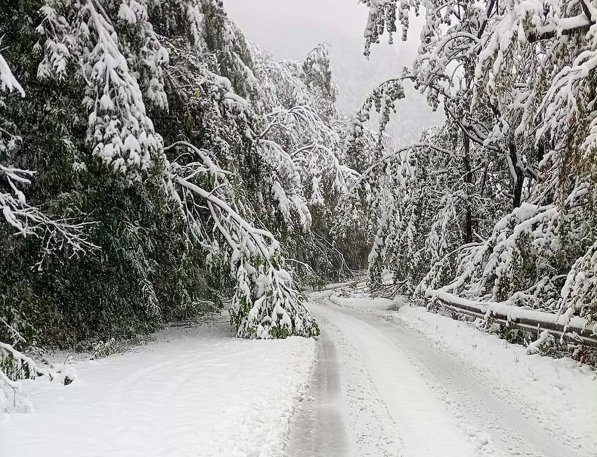 Стягат Петрохан за зимата. Техника, сол и предупреждения към шофьорите