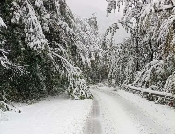 Стягат Петрохан за зимата. Техника, сол и предупреждения към шофьорите
