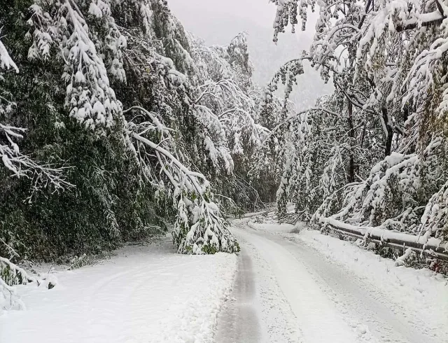 Стягат Петрохан за зимата. Техника, сол и предупреждения към шофьорите