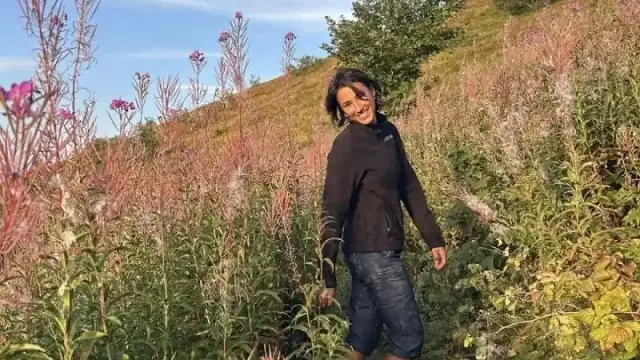 Първа след от изчезналата Стефани. Видяна е до...