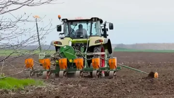 Черна година за производството на царевица у нас