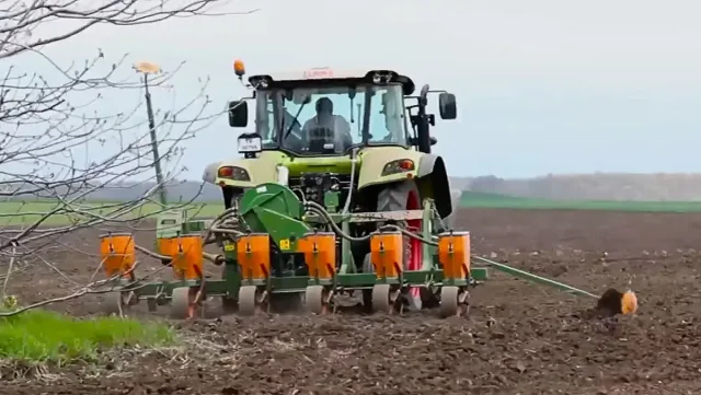 Черна година за производството на царевица у нас