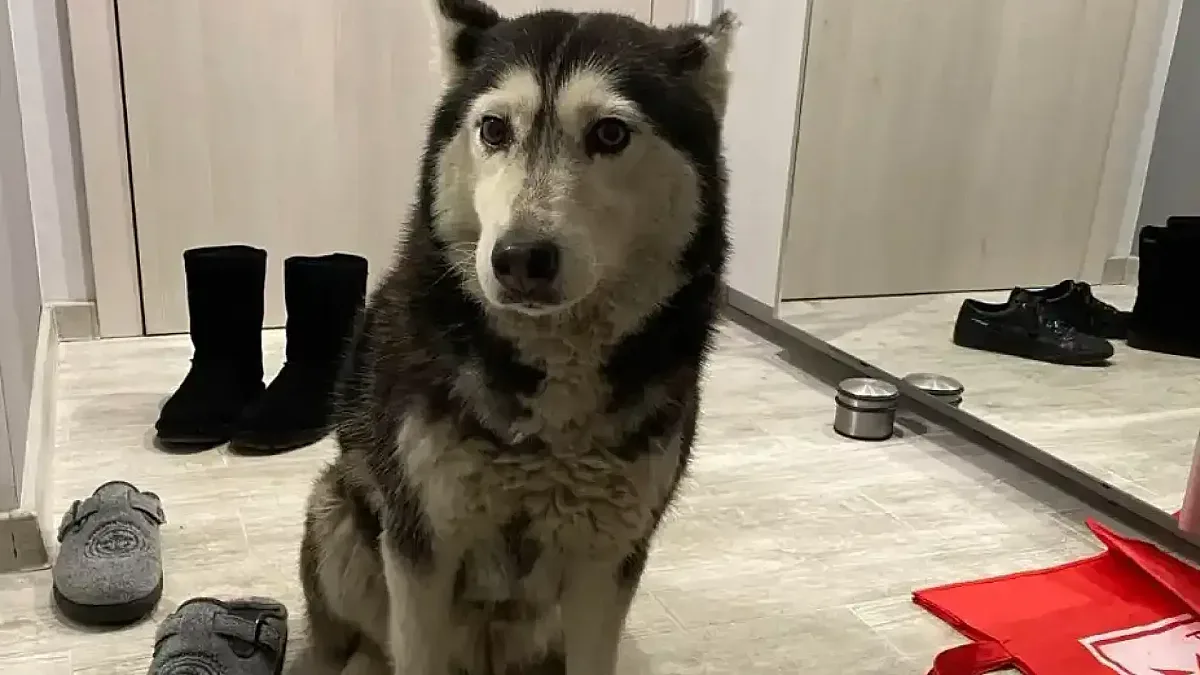 Потресаващи подробности за убийството на Мая