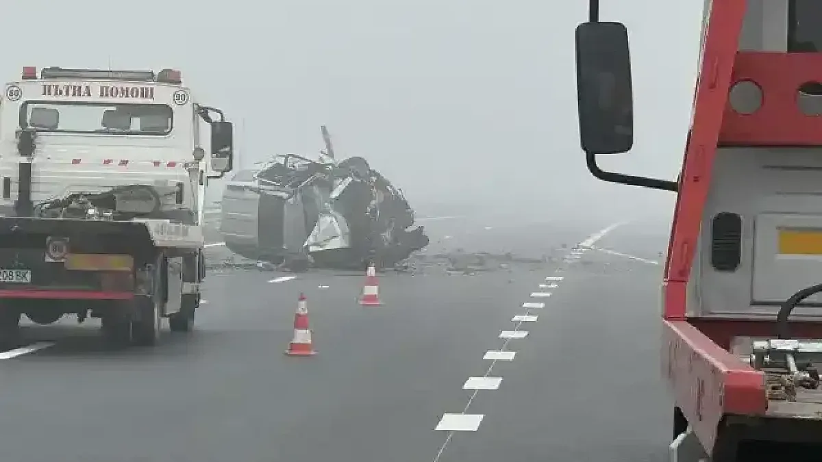 Лияна Панделиева за ужаса на "Тракия": Иде ми да вия с глас