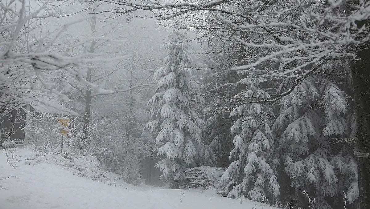 Зимата ще настъпи с пълна сила! Ето кога е шансът за това