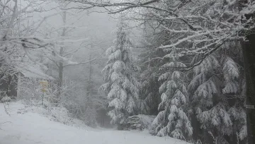 Зимата ще настъпи с пълна сила! Ето кога е шансът за това