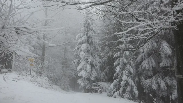 Зимата ще настъпи с пълна сила! Ето кога е шансът за това