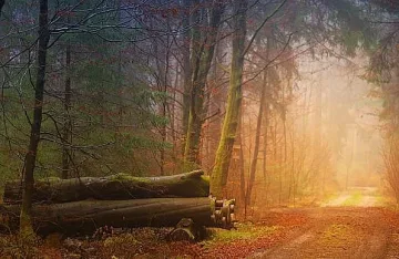 Времето ни носи прекрасен ден с голям капан